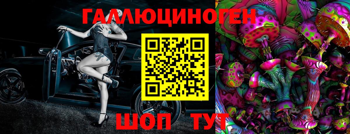 Нижнеудинск  Псилоцибиновые грибы мухоморы  Вход с VPN 